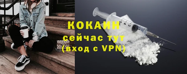 дживик Каменка