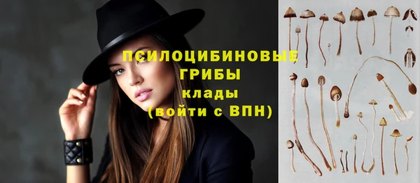 альфа пвп Богородицк