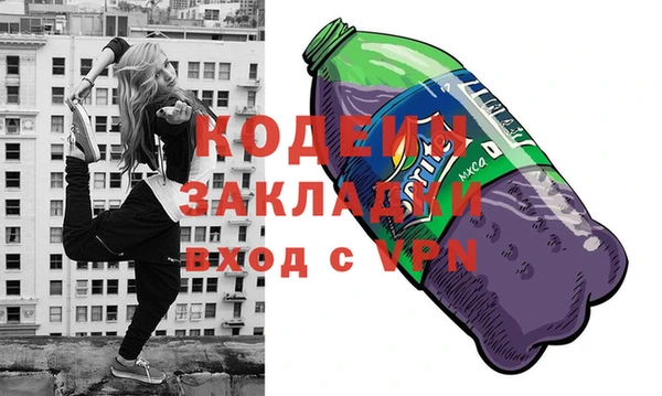 ГАЛЛЮЦИНОГЕННЫЕ ГРИБЫ Богданович