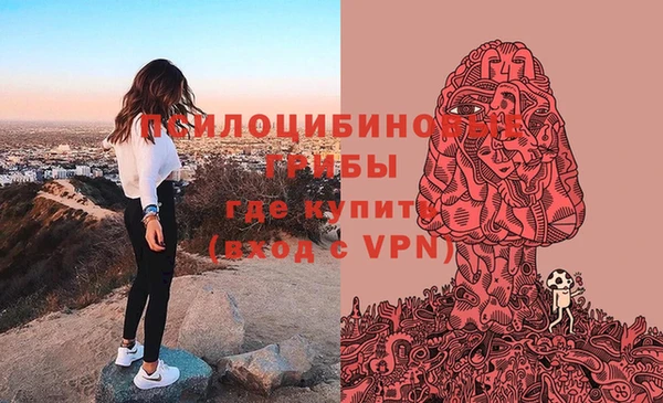 альфа пвп Богородицк