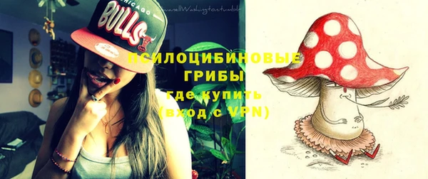 ГАЛЛЮЦИНОГЕННЫЕ ГРИБЫ Богданович