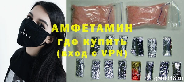 ГАЛЛЮЦИНОГЕННЫЕ ГРИБЫ Богданович