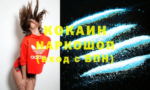 ГАЛЛЮЦИНОГЕННЫЕ ГРИБЫ Богданович