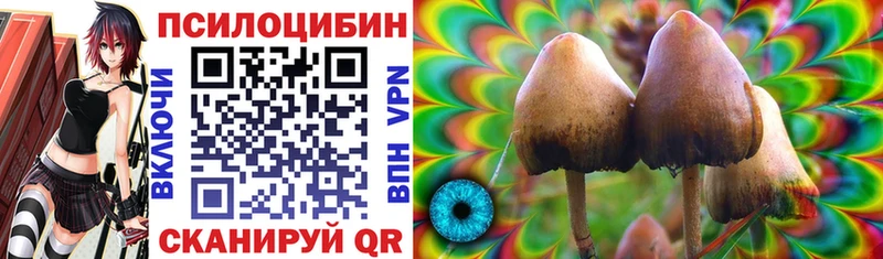 гидра онион  Менделеевск  площадка Telegram  где найти наркотики  Псилоцибиновые грибы Psilocybe 